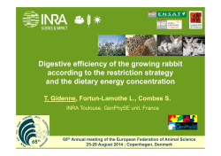 Digestive efficiency of the growing rabbit according to the restriction