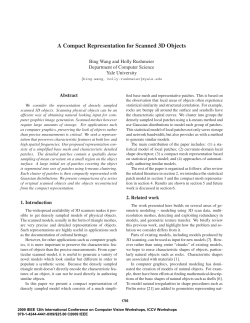 A Compact Representation for Scanned 3D Objects