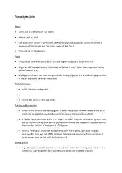Primary Hockey Rules Teams &bull; Games are played between two