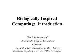 Biologically Inspired Computing