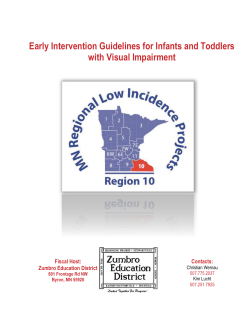 early intervention guidelines for infants and toddlers with visual