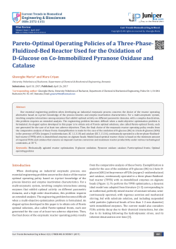 Pareto-Optimal Operating Policies of a Three-Phase-Fluidized