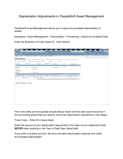 Depreciation Adjustments (application/zip 166