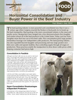 Horizontal Consolidation and Buyer Power in the Beef Industry