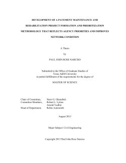 Narciso Thesis June 18 For Thesis Office 2