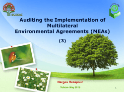 Auditing the Implementation of Multilateral Environmental