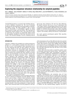 Exploring the sequence&ndash;structure relationship for amyloid peptides