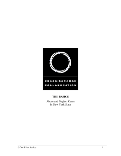 THE BASICS Abuse and Neglect Cases in New York