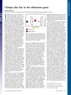 Accompanying commentary