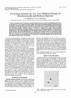 Clostridiurn pfennigii sp. nov. Uses Methoxyl Groups of