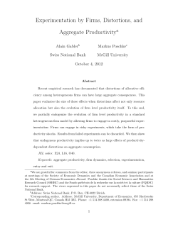 Experimentation by Firms, Distortions, and