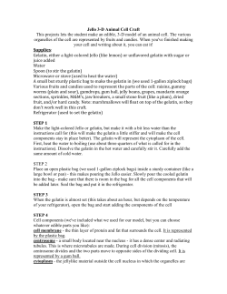 Animal Cell Activity
