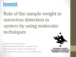 Role of the sample weight in norovirus detection in