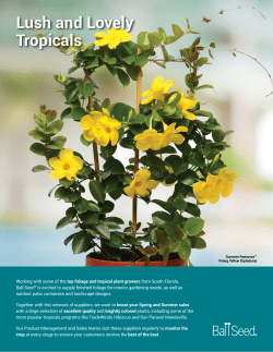 Lush and Lovely Tropicals