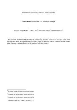 A Dynamic Computable General Equilibrium (CGE) Model