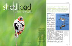 featHer GrowtH and rePlacement StrateGieS