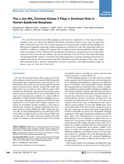 The c-Jun NH2-Terminal Kinase 2 Plays a