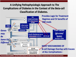 Differentiating Among Incretin Agents for Type 2 Diabetes: Weighing