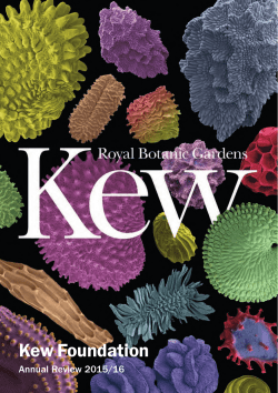 Kew Foundation