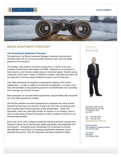 bison investment strategy