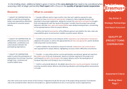 Elements: What to consider: QUALITY OF (PROJECT TEAM