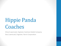 Hippie Panda Coaches