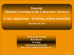 Carbon nanotubes - Optimal Learning