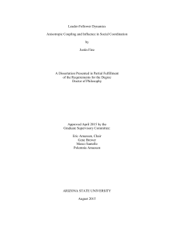 Leader-Follower Dynamics Anisotropic Coupling and Influence in