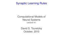 Synaptic Learning Rules