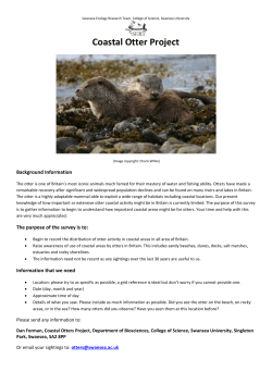 Coastal Otter Project