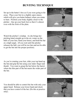 Softball Bunting Mechanics