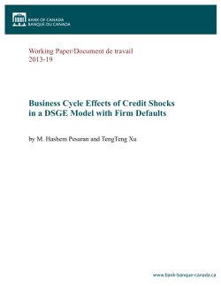 Business Cycle Effects of Credit Shocks in a DSGE Model with Firm