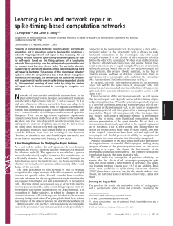 Learning rules and network repair in spike-timing