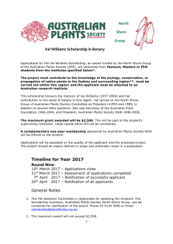 Scholarship form 2017 word.