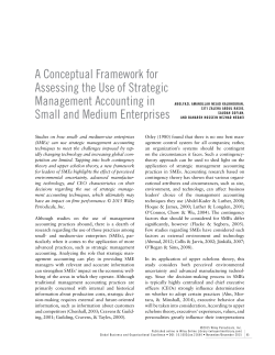 A Conceptual Framework for Assessing the Use of Strategic
