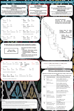 Exuberant Complexity in Amuzgo: Triple