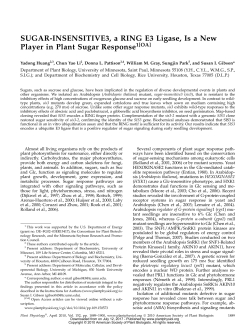 SUGAR-INSENSITIVE3, a RING E3 Ligase, Is a New Player in Plant