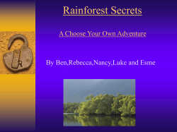 Rainforest Secrets A Choose Your Own Adventure