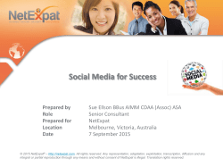 NetExpat - Social Media for Success