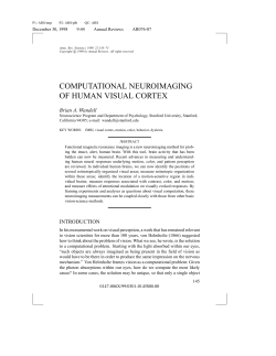 Computational neuroimaging of human visual cortex