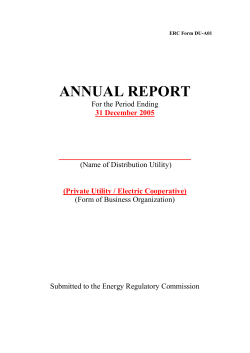 Annual Report - Energy Regulatory Commission
