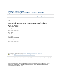 Modified Transmitter Attachment Method for Adult Ducks