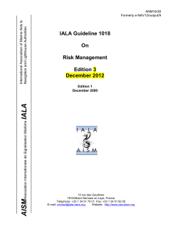 Guideline on Risk Management