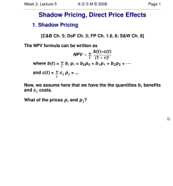 Shadow Pricing, Direct Price Effects