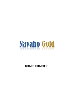 board charter - Dark Horse Resources