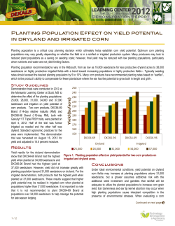 Corn Yield by Population and Irrigation
