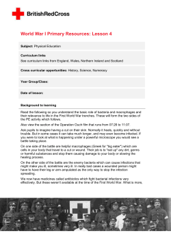 Lesson 4: PE - British Red Cross