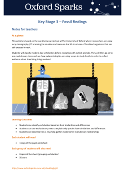KS3_Fossil_findings_Teachers_Notes