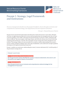 Precept 1: Strategy, Legal Framework and Institutions