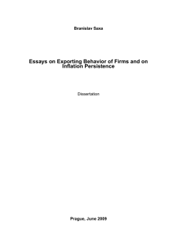 Essays on Exporting Behavior of Firms and on Inflation Persistence